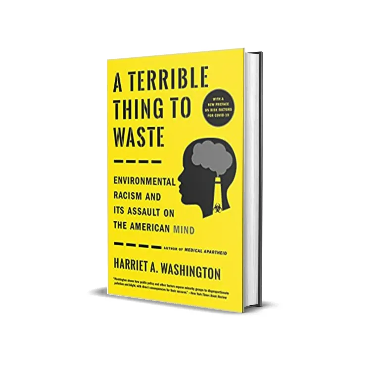 Book Club: "A Terrible Thing to Waste" Connects the Dots Between Pollution and Intelligence